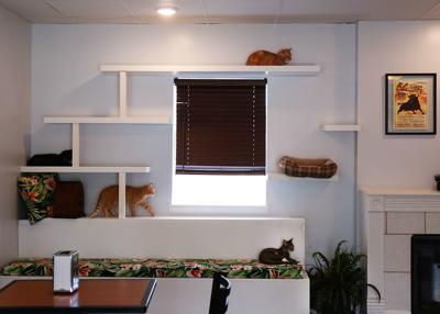 Inspired By Hemingway And Of Course Cats Papa S Cat Cafe