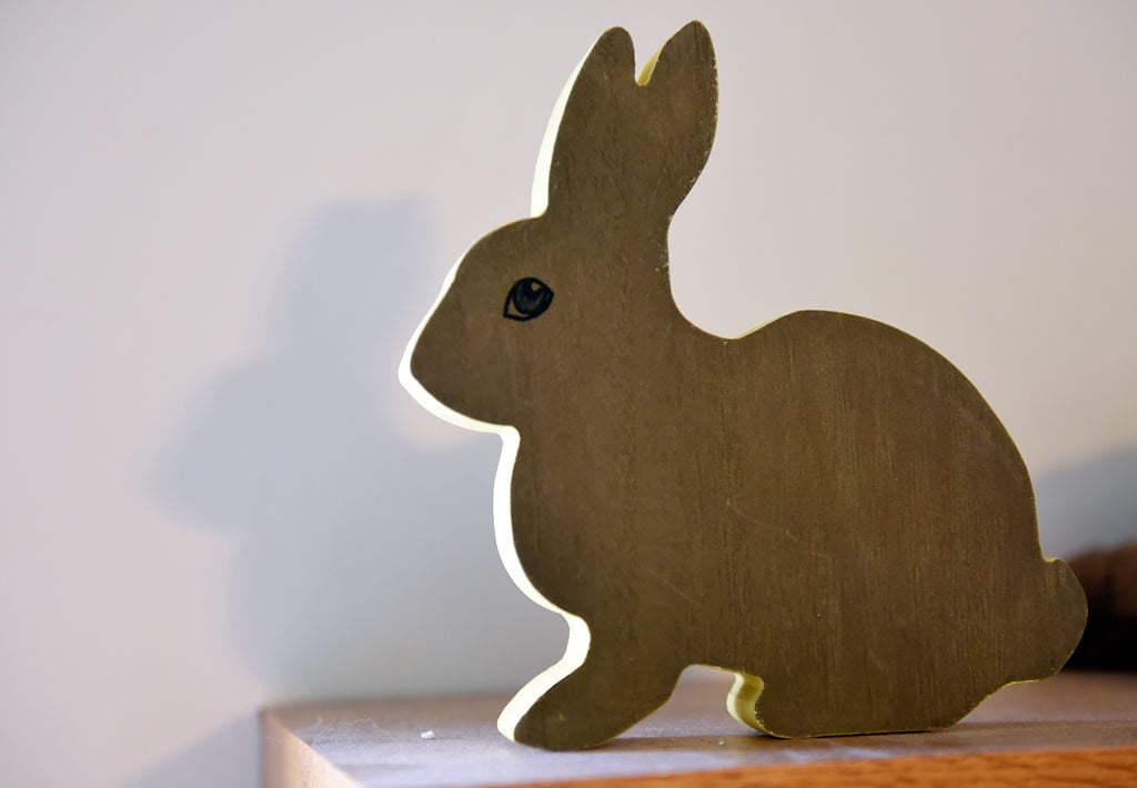 rabbit surrender near me