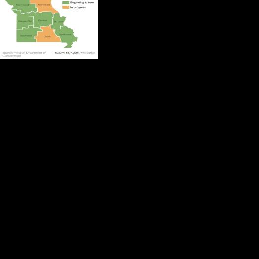 Vibrant, robust fall foliage expected in Mid-Missouri | Local ...