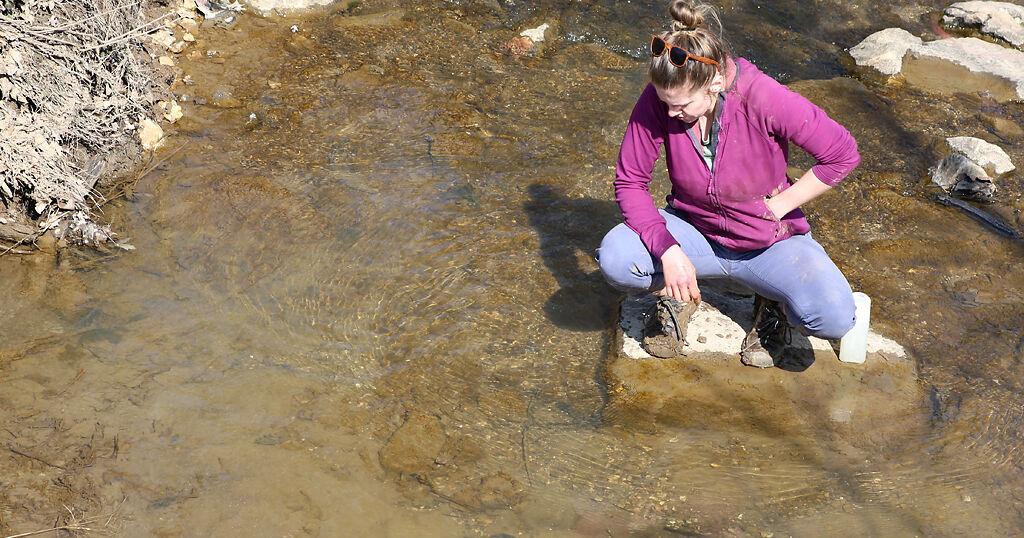 Decades later, efforts to clean Hinkson Creek water show little result