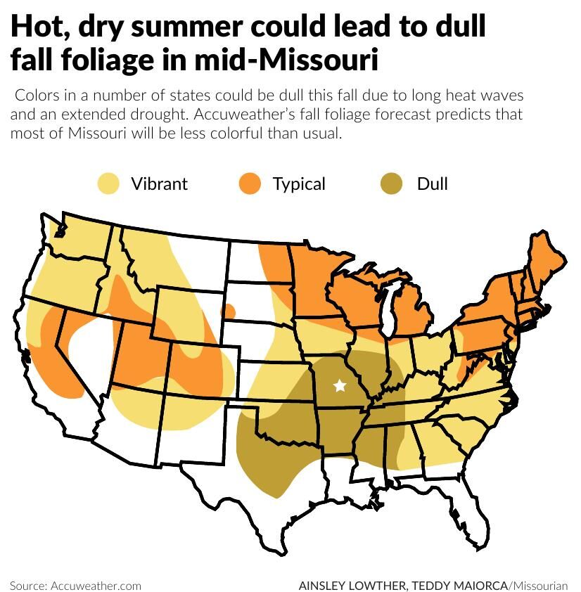 Lackluster autumn leaves could be result of drought, heat | Local ...