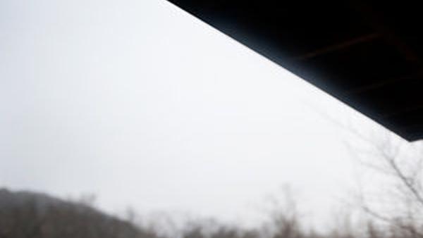Missouri Farmers Lay Groundwork For Truffle Market News
