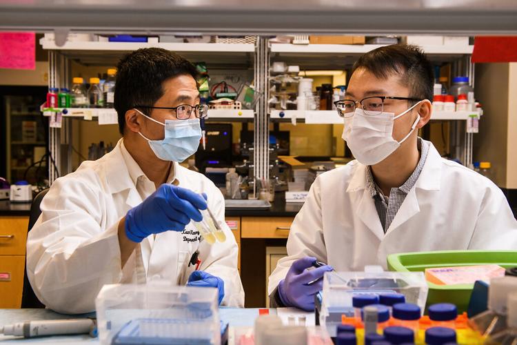 Xunlei Kang, MD, PhD, with lab assistant Chen Wang in his laboratory