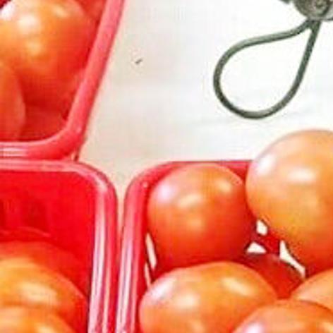 Shop For Produce Baked Goods And Ice Cream At Beggs Berry World Southeast Missouri Columbiamissourian Com