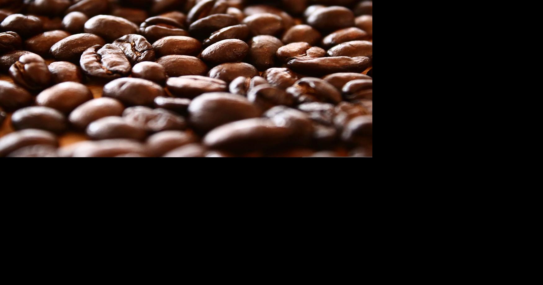 Melancholy Roasting Special Sections