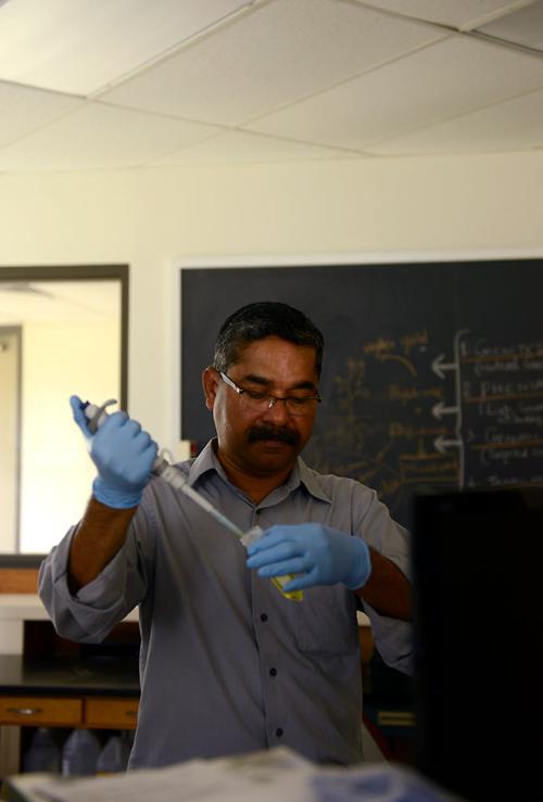 Babu Valliyodan researches the different breeds and genes of industrial hemp plants