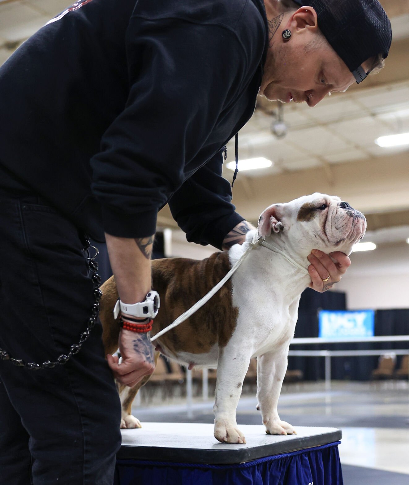 Tessa Johnson and Madina Okot score 18 points each as No. 3 South Carolina  beats Providence 96-55 | CBS47 and KSEE24 | News from YourCentralValley.com  KSEE24 | CBS47, image size:1322x1567