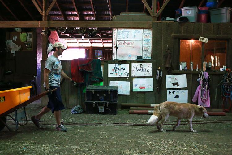 A childhood filled with horses leads to job as barn manager for equine