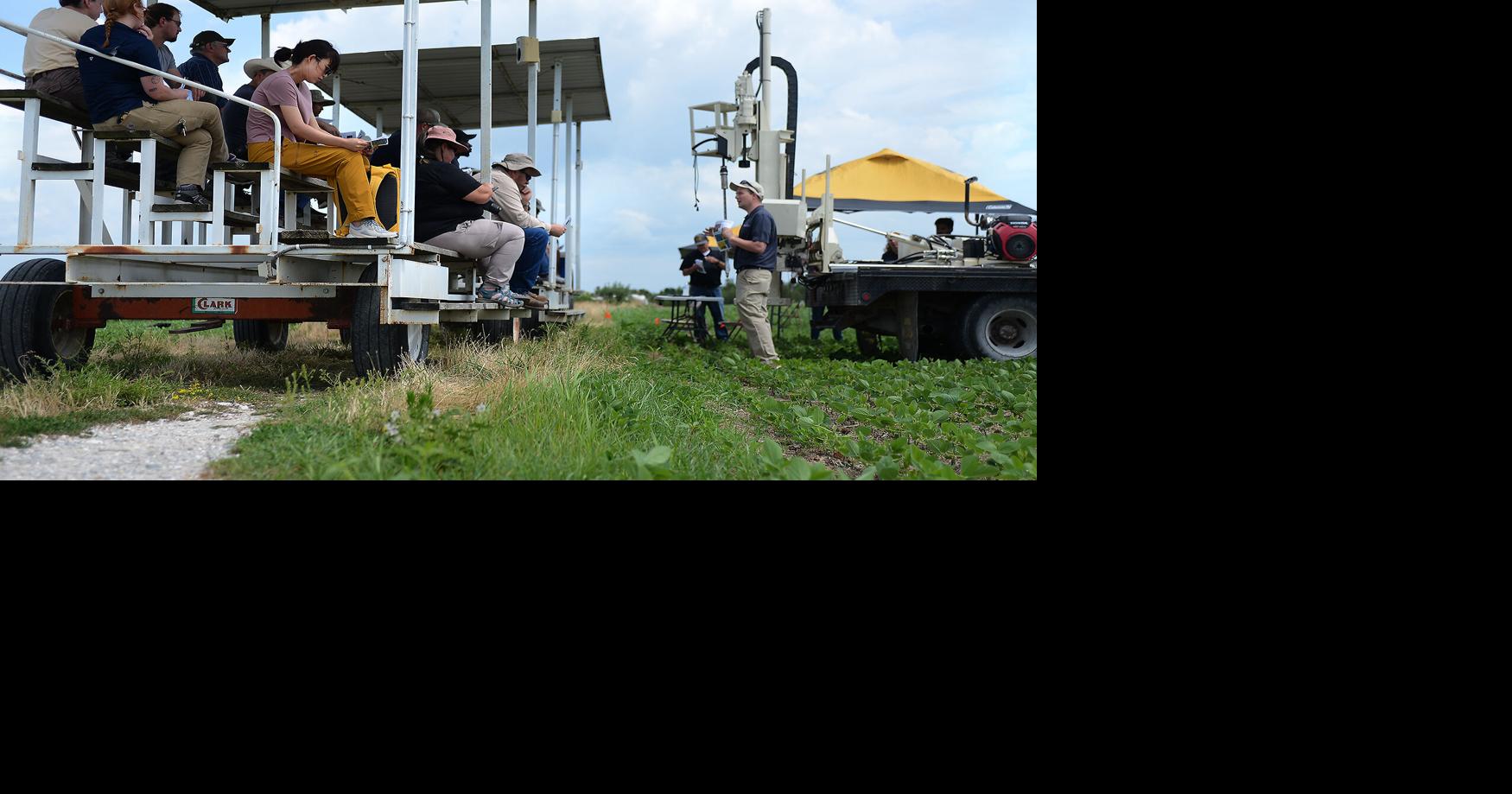 Missouri farms are turning to AI, MU researchers are building the tools to make it possible