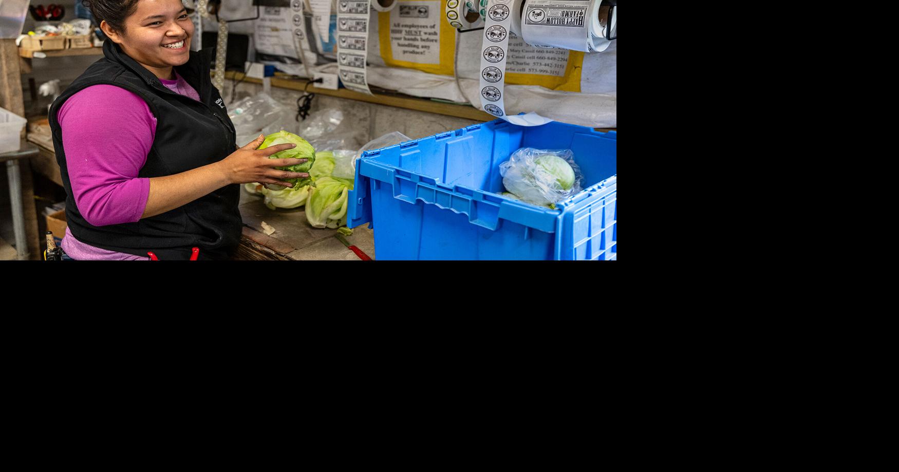 Farm hand Aleli packs and labels lettuce in containers | News ...