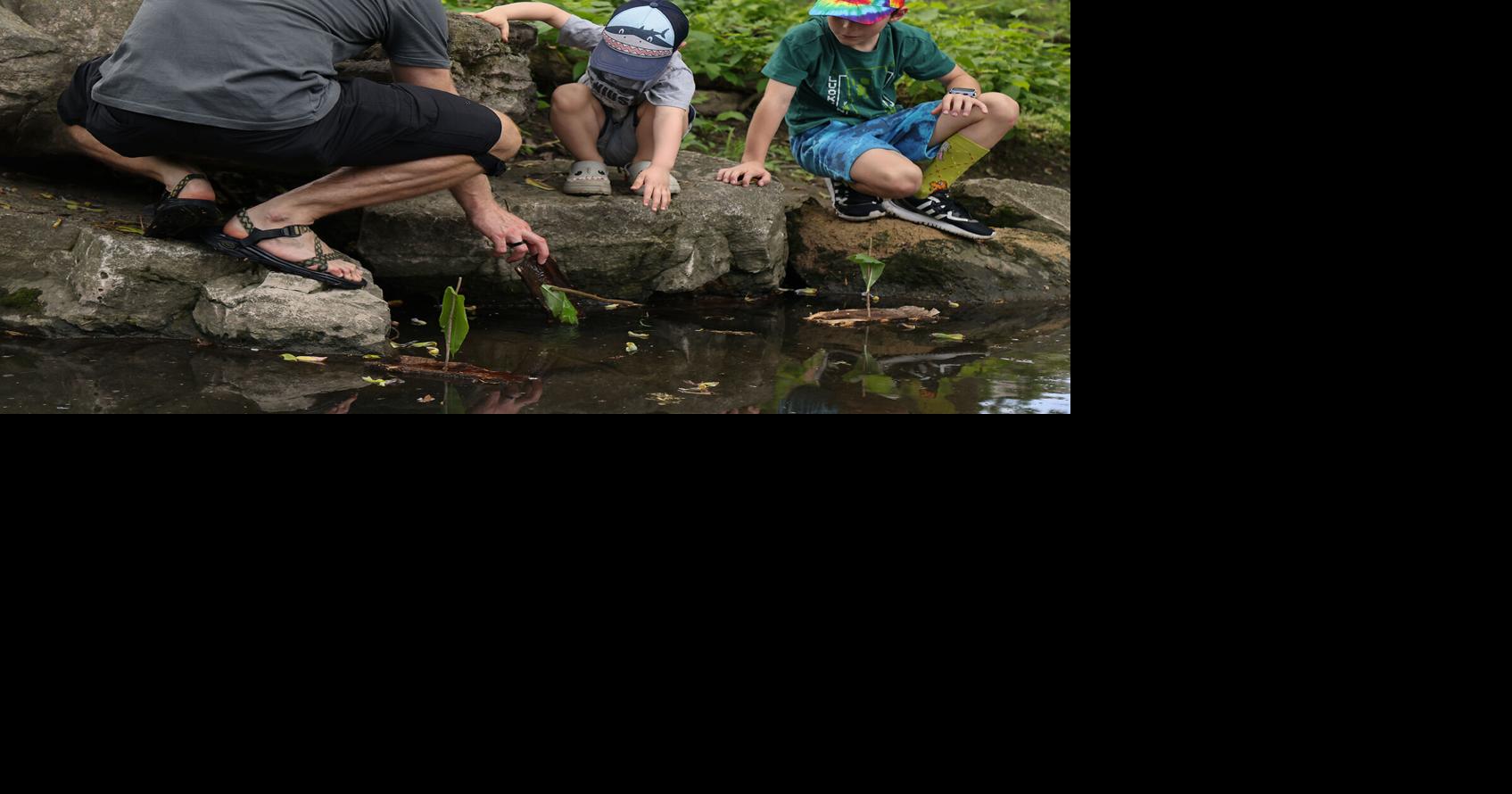 Earth Day Festival promotes sustainability for future generations