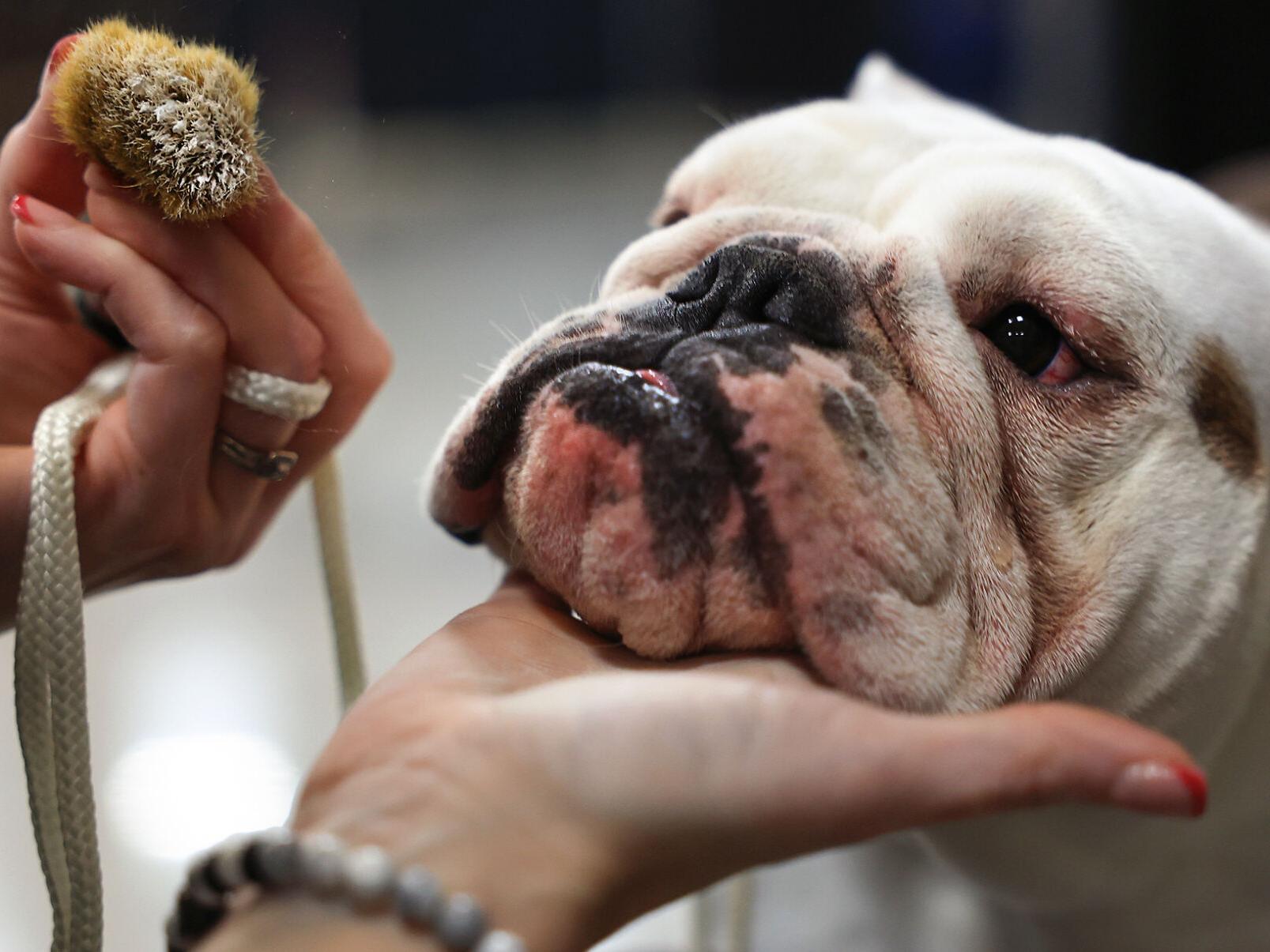 Tennessee \, image size:1607x1205