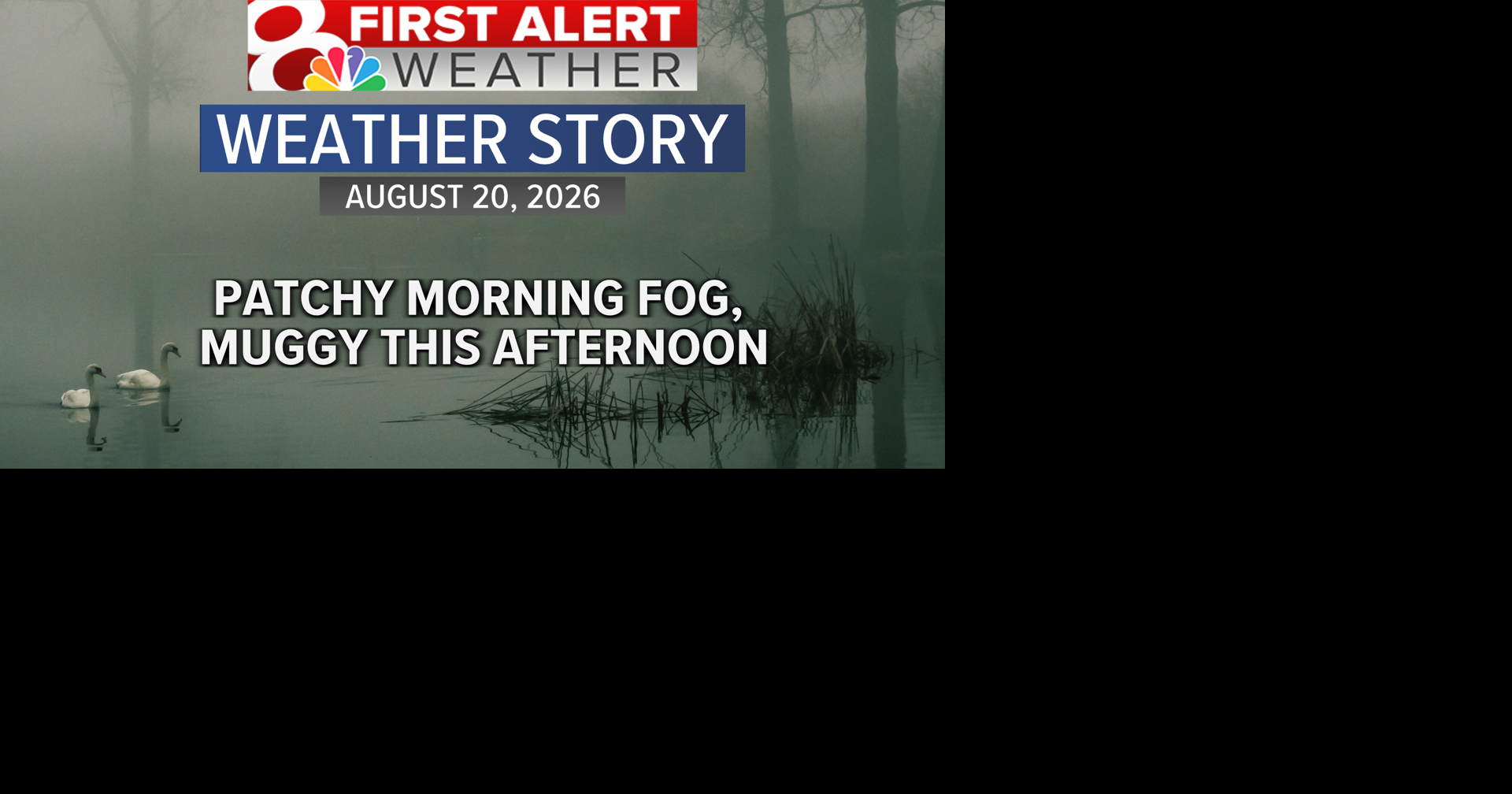 Forecast: Patchy dense fog for the Thursday morning commute