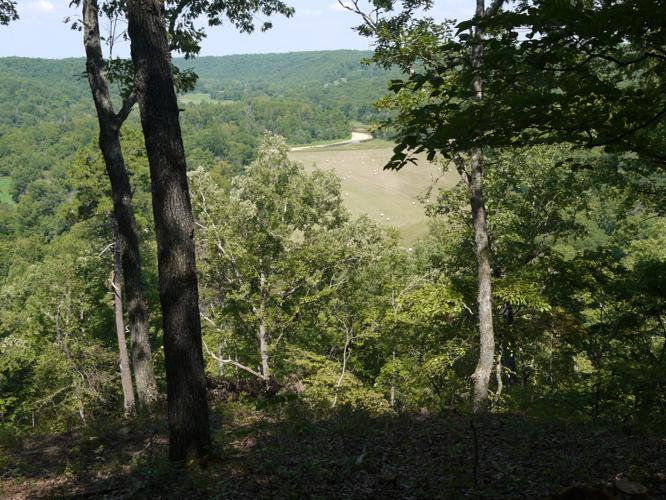 Missouri's newest state park open to visitors Friday State News