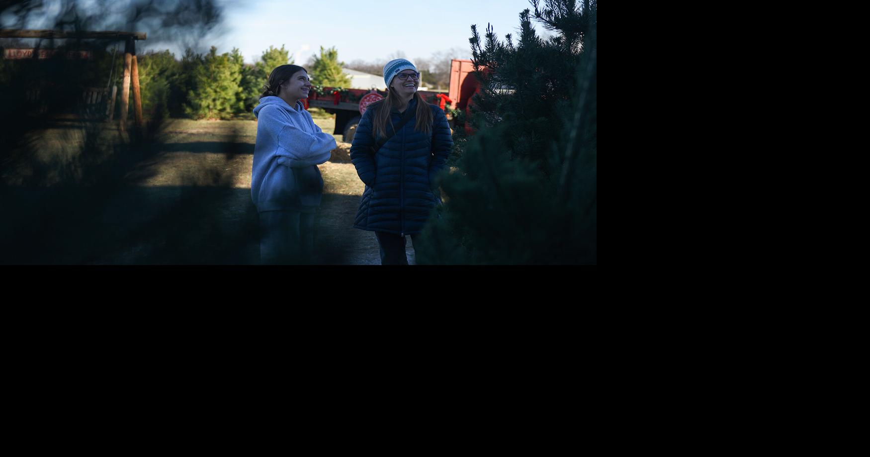Lloyd's Family Farm closes off Christmas tree sale with frosty ...