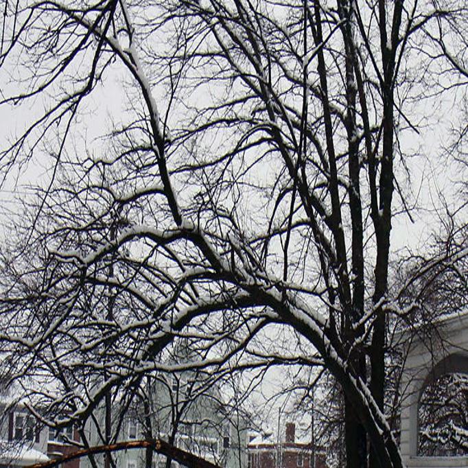 Predicting Missouri S Winter Weather Like Gazing Into Crystal Ball Local Columbiamissourian Com