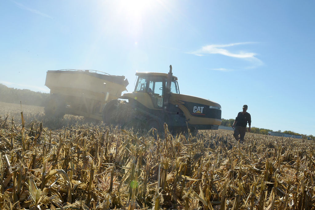 Heavy rains delay Missouri corn harvest Local
