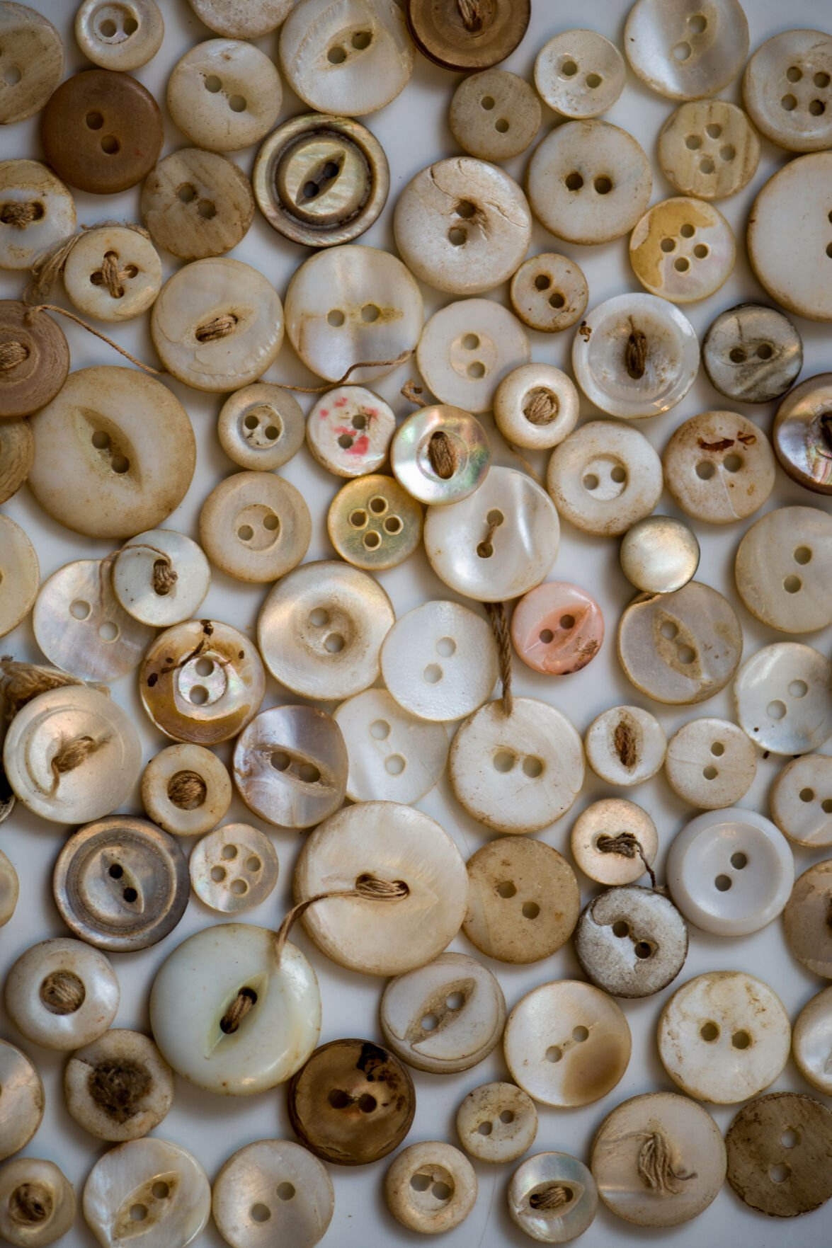 Antique pearl buttons from the collection of Nancy Tharpe