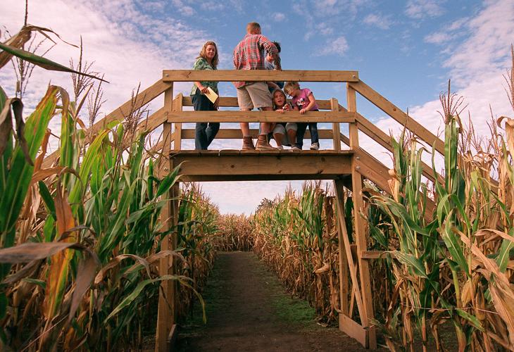 Amanda Gentles, Eric Wiedemann, Lisa Bauer, Audrey Wiedemann, and Abbigale Gentles stand atop a bridge in the middle of Shryock Farm's Spirit of American corn maze