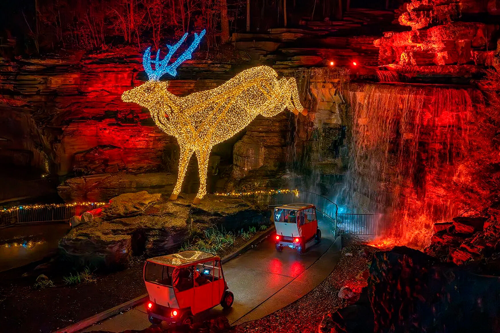 Nature at Night at Big Cedar Lodge brings the holiday season to