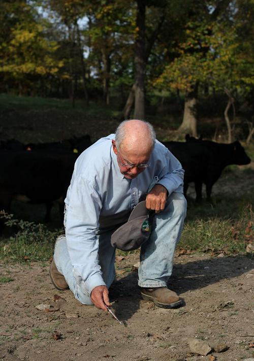 Robert "Doc" Kinkead draws a diagram in the dirt of how he rotates his cattle to keep his land healthy