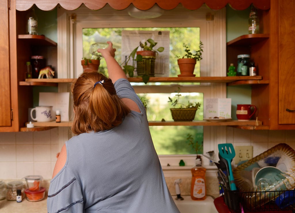 Plant shelf best sale over kitchen sink