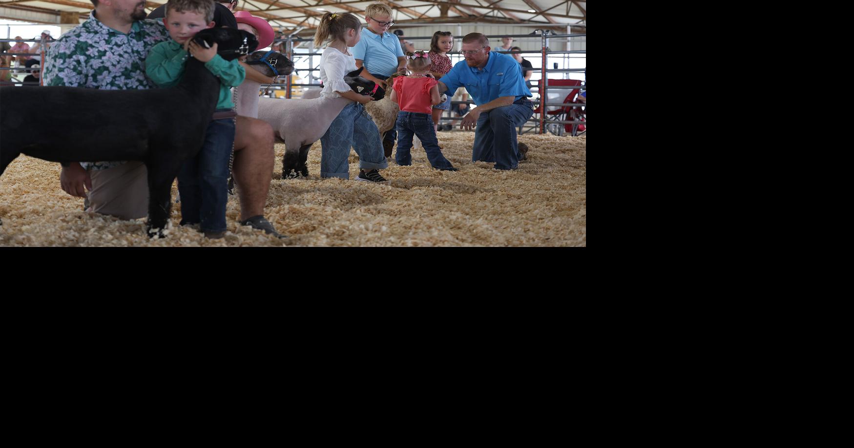 Boone County Fair hosts baby pageant and goat show | Local ...