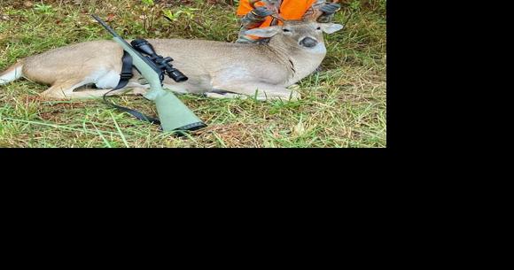 Youth hunters kill 11,331 deer in early season, down from 2022 - Vimarsana News