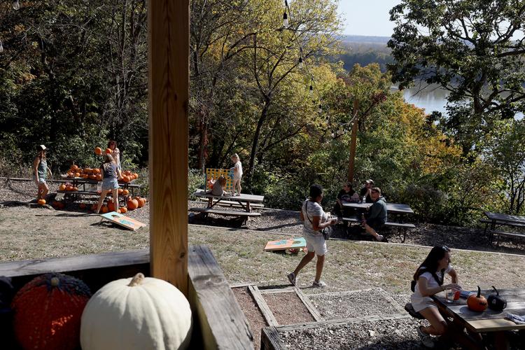 Crushin' It Grape Stomping at Crush Festival Local
