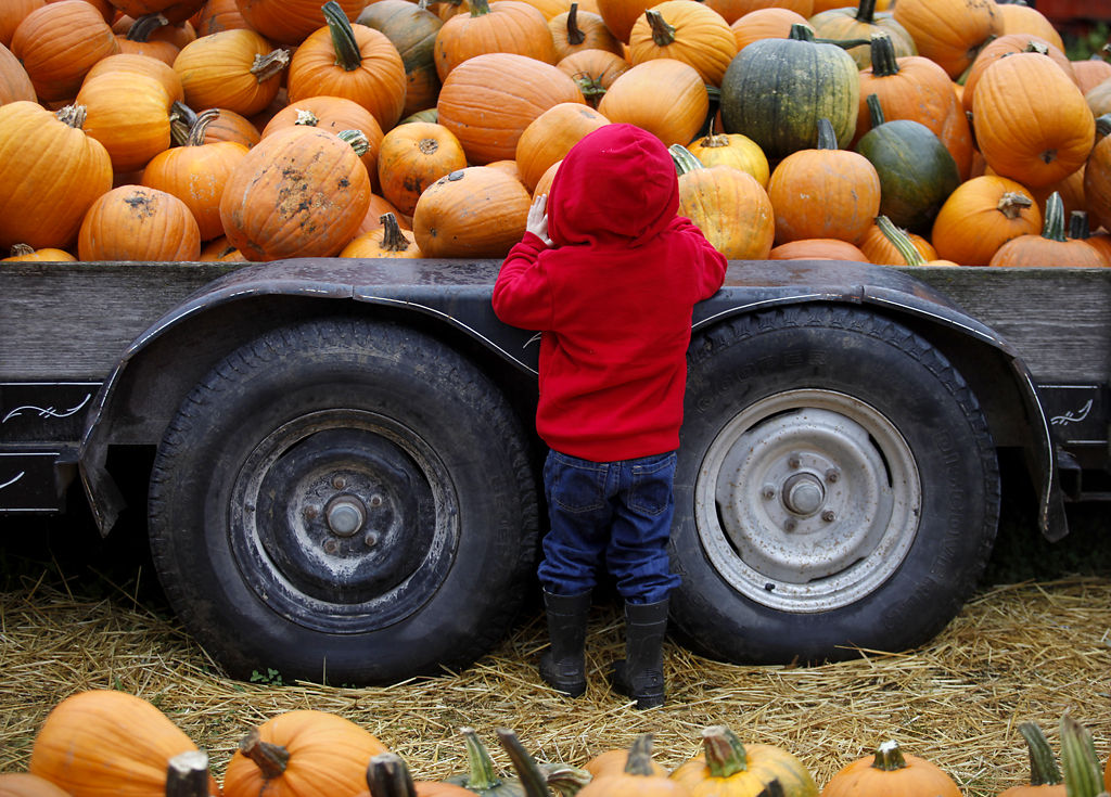 Hartsburg Pumpkin Festival Home of pumpkin kings and novel crafts