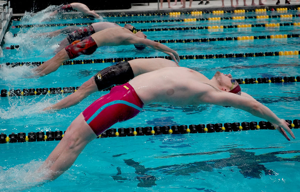 Zou Style Missouri Swim And Dive Dominates Siu On Senior Day Mizzou Sports Columbiamissourian Com