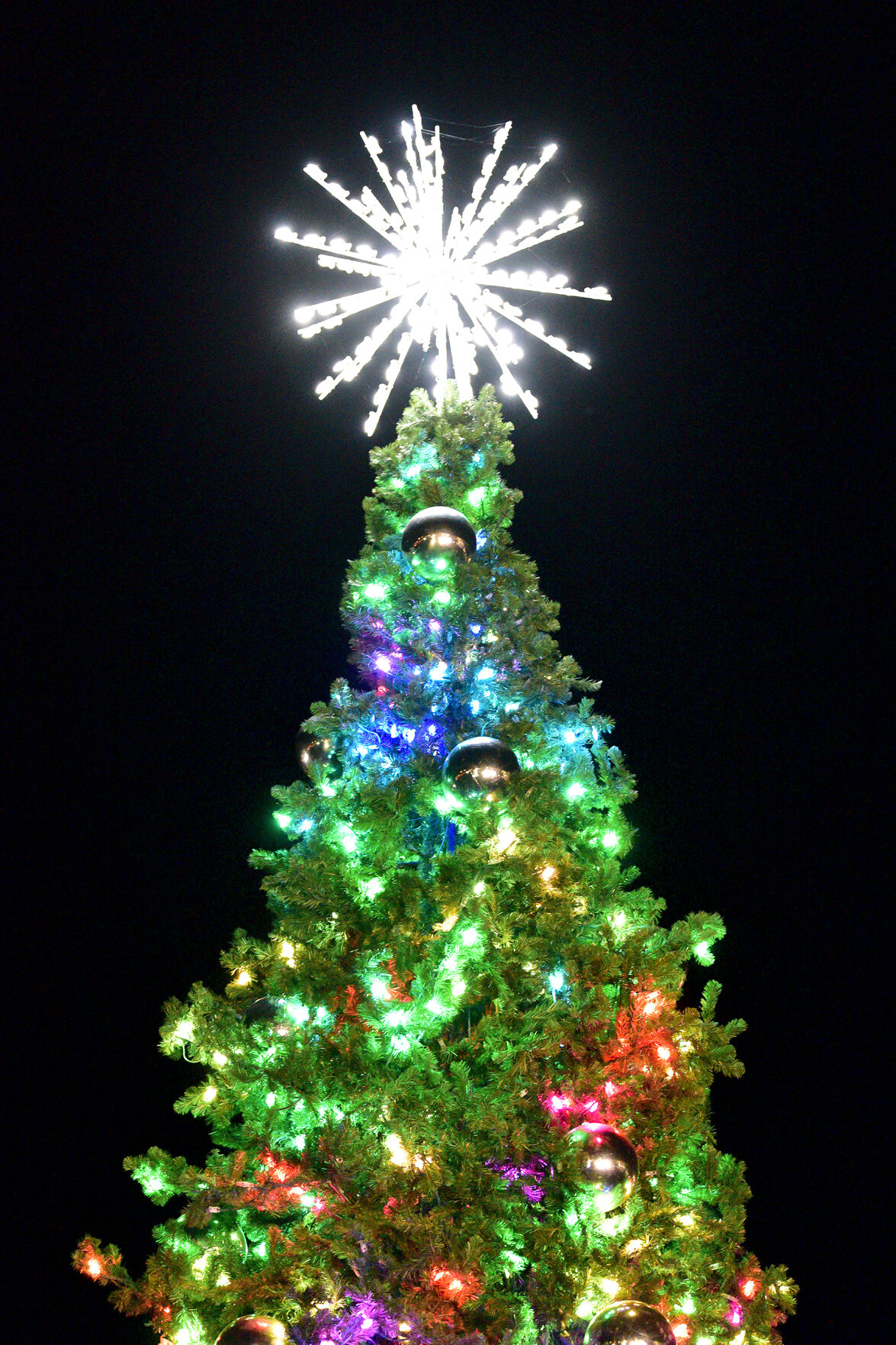 Columbia Mo Christmas Activities 2022 O Christmas Tree': Shelter Gardens Hosts 56Th Annual Tree Lighting Ceremony  | Local | Columbiamissourian.com
