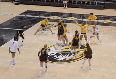 Missouri volleyball play a scrimmage game against each other (copy)