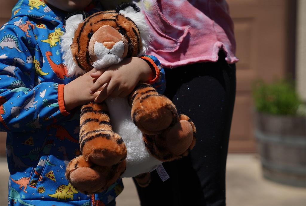 A Tiger Sanctuary Near Ste Genevieve Offers Three Tours A Day