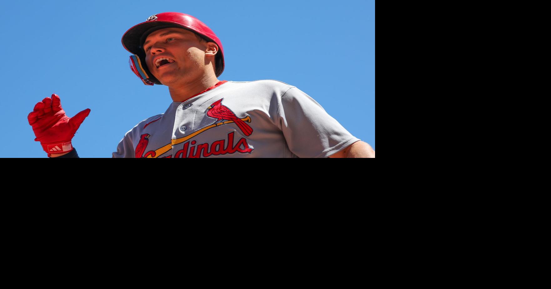 Cardinals Twins Baseball