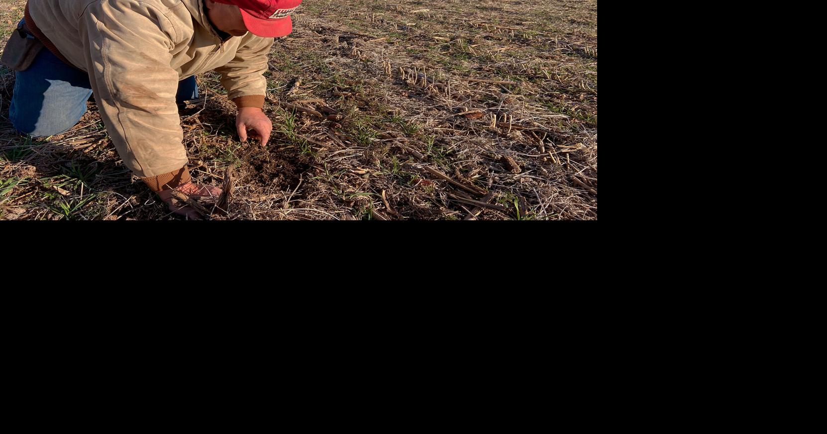 Missouri farmers explore new approaches to battle persistent drought ...