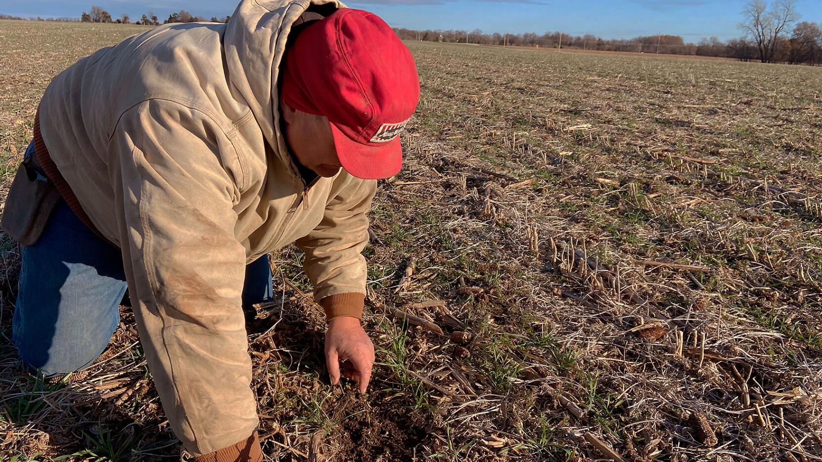 Missouri farmers explore new approaches to battle persistent drought |  Local | columbiamissourian.com, image size:1662x935