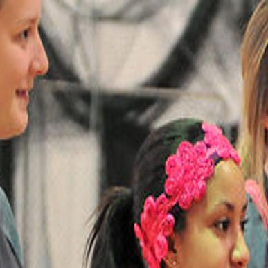 Stephens Softball Team Dons Decorated Bras For Breast Cancer