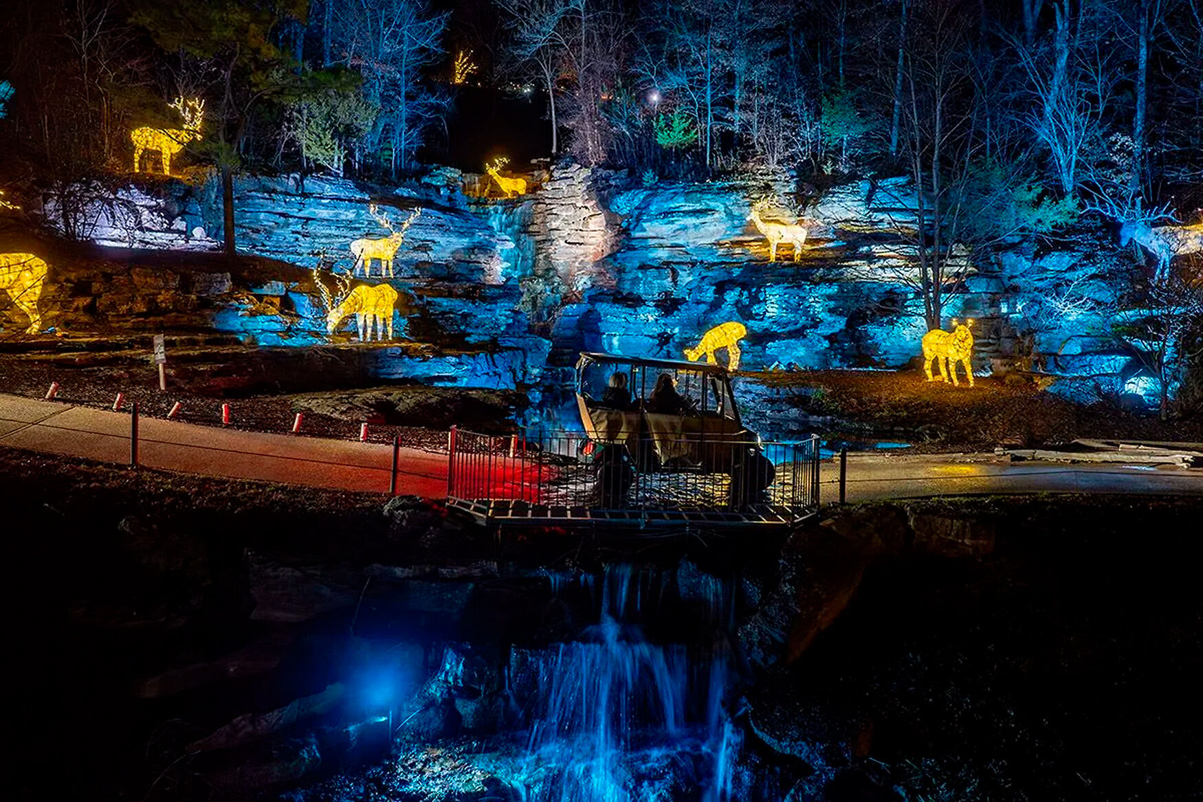 690e461be891f.image.jpg?crop=