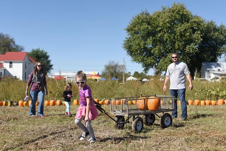 Kids and babies compete in pumpkin contest at Hartsburg Pumpkin Festival Local