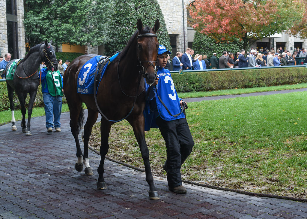 The Keeneland Double A Lexington Tradition Of Horse Racing Before Football Mizzou Football Columbiamissourian Com