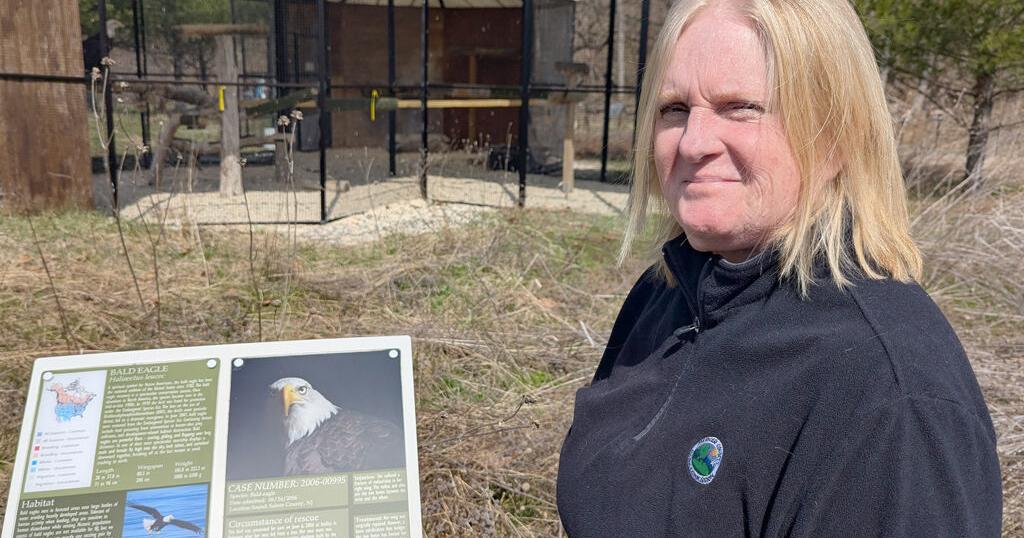 Mercer County Wildlife Center: A Hidden Gem of Animal Rescue