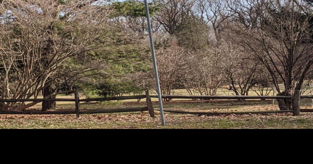 Sentimentality and street signs life on Lovers Lane Princeton Echo