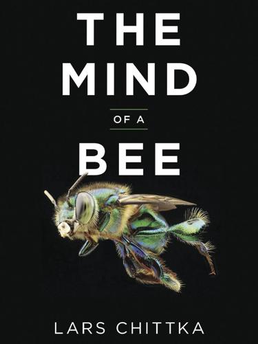 The Mind of a Bee Lars Chittka.jpg