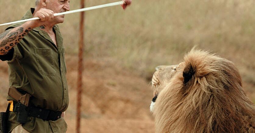 Robbinsville filmmaker documents South Africa’s lion crisis