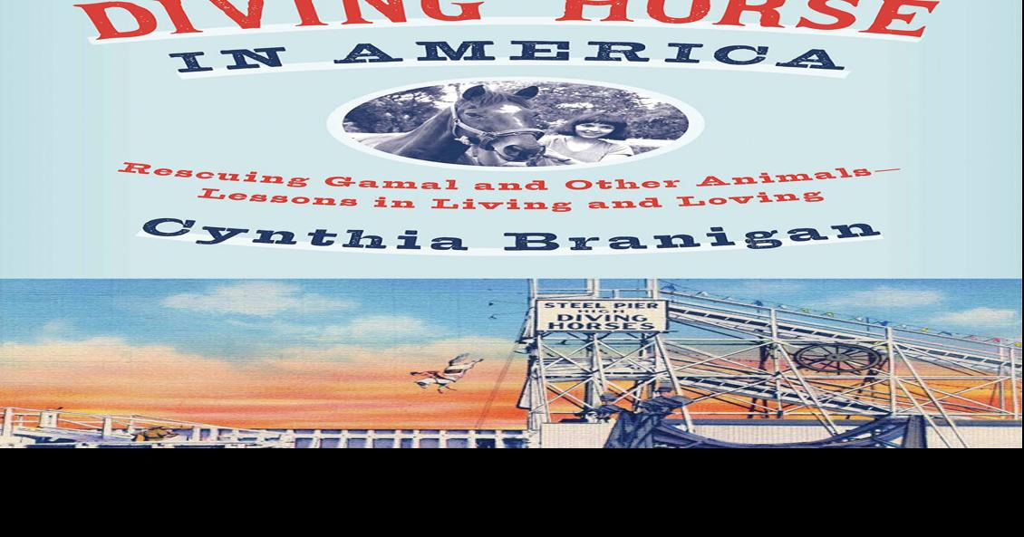 Lawrence native recounts relationship with diving horse Gamal in new