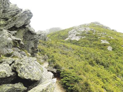 7-18-2020 Parsons-Caps Ridge Trail