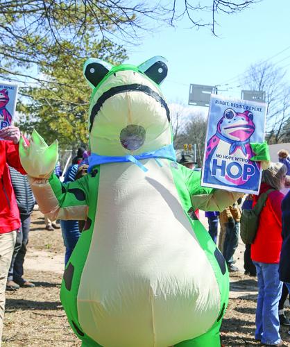 03-28-26 No Kings vertical frog