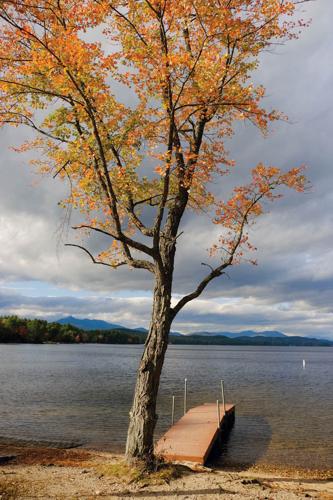 10-6-17 Foliage 5.jpg