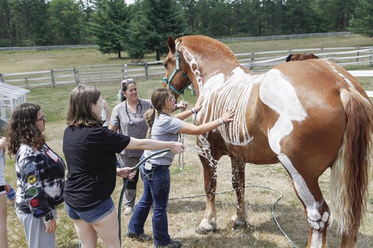 07-19-22 Vet Camp hosing off
